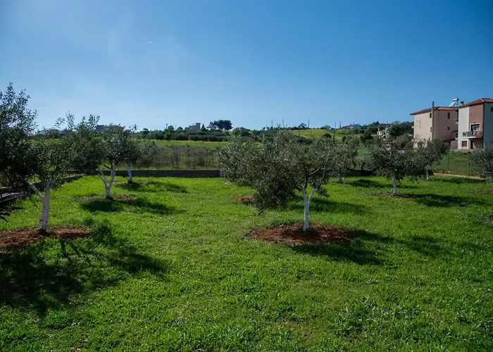 Villa Olivo